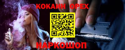 крисы Будённовск