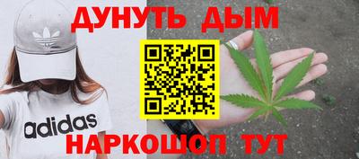 крисы Будённовск