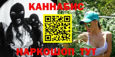 крисы Будённовск