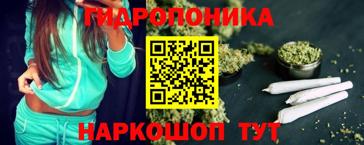 Шишки марихуана Amnesia Сердобск